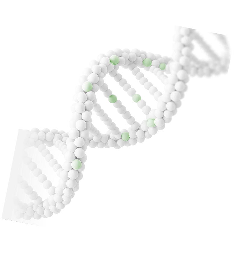 header_static_molecule